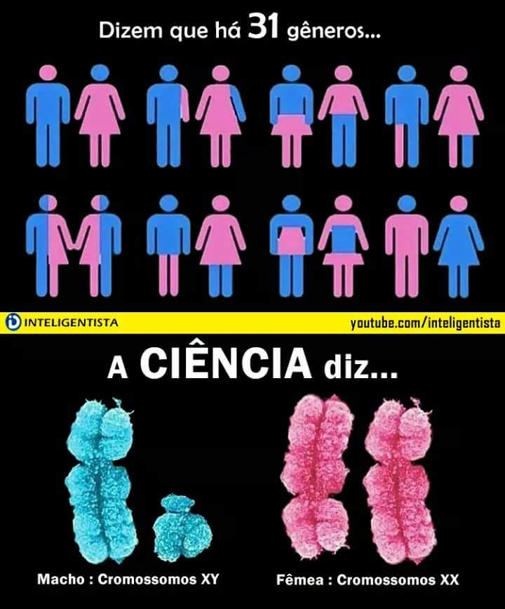006Aline's tweet photo. Deus fez o macho e a fêmea, nascemos meninos e meninas, o resto é falácia da esquerda canalha, enganadora e mentirosa!
🇧🇷🇧🇷 https://t.co/N1nk1JKVvj