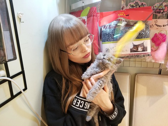 ダコタ ローズさん の人気ツイート 3 Whotwi グラフィカルtwitter分析 ダコタ ローズさん の人気ツイート 3 Whotwi グラフィカルtwitter分析