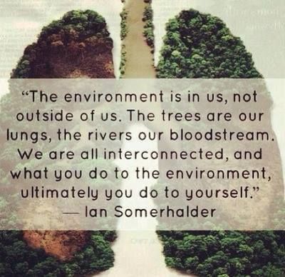 JoyfullyECO's tweet photo. "The trees are our lungs, the rivers our bloodstream." #awareness #GoGreen #SaveWater https://t.co/2PmQjuw8JF