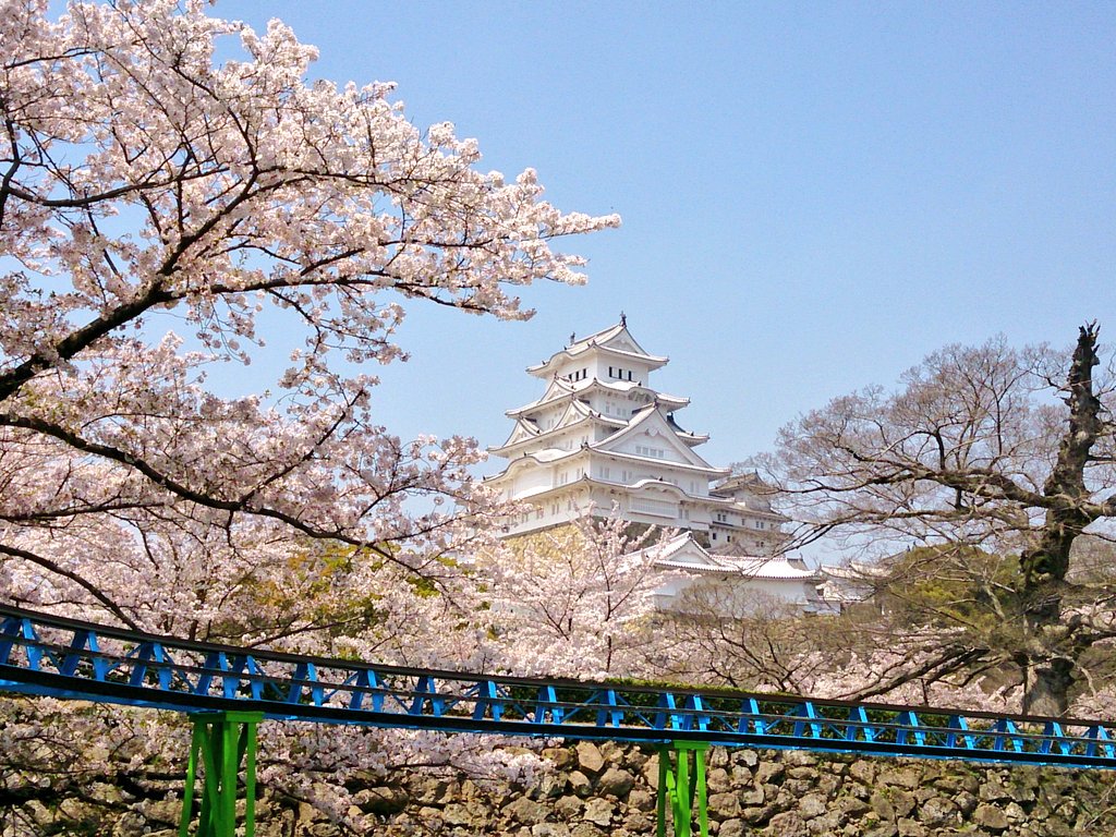 تويتر えこにゃあ على تويتر 桜 姫路動物園に来ました 姫路動物園から桜の姫路城がばっちり見えます １枚目２枚目の写真は 動物園の観覧車から長女が撮った姫路城 上から撮ったから 素敵でしょう T Co Oxufdyn5r2