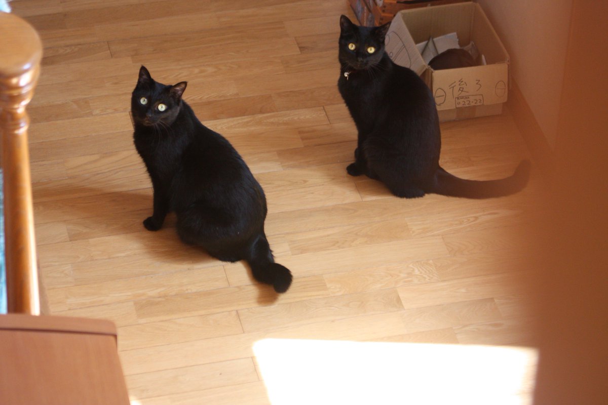 似た者同士わよ