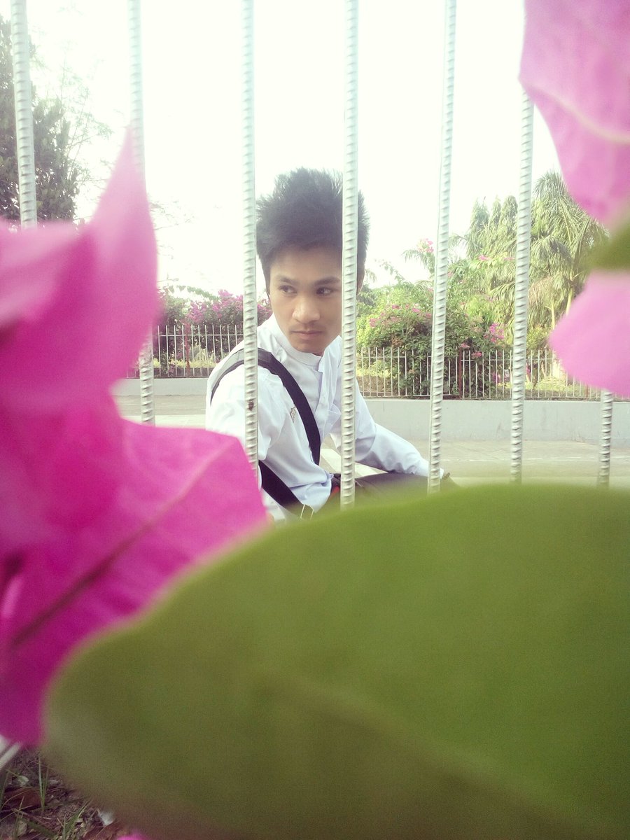 PyaeShinMin1's tweet image. 