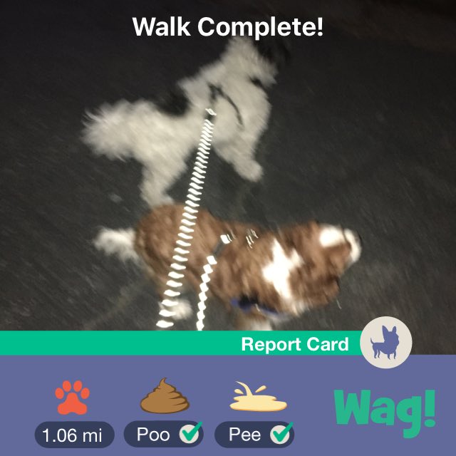 Brother_Arsenal's tweet photo. Just finished a dog walk on Wag! Use my promo code "CASEY80736" for $50 of FREE Wag credit! https://t.co/2J0FgTTT1C https://t.co/fmK4BaYEoL