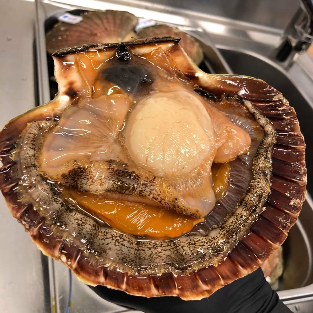 r_jordn's tweet photo. These Beautiful scallops is to gø on our menu 
#onlythebest #michelinguide #michelin_guide https://t.co/dbCGqMkbrb