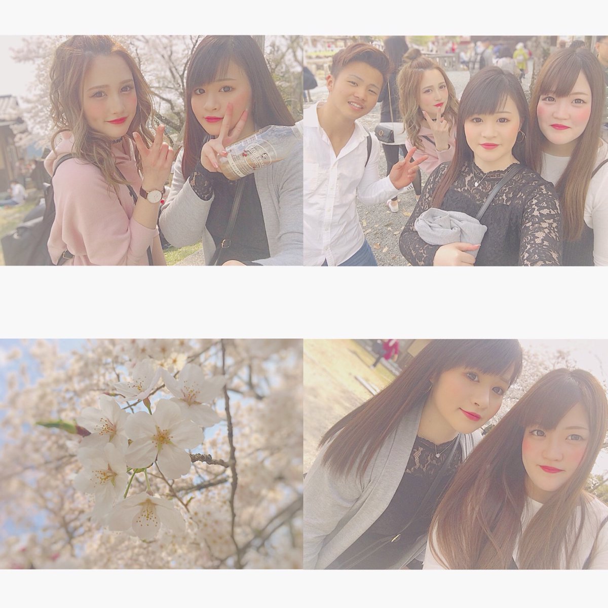 zucchan2's tweet photo. ✧0401✧
✔奈良
✔吉野山
✔桜🌸
✔family👪 https://t.co/gOsQONjoOf