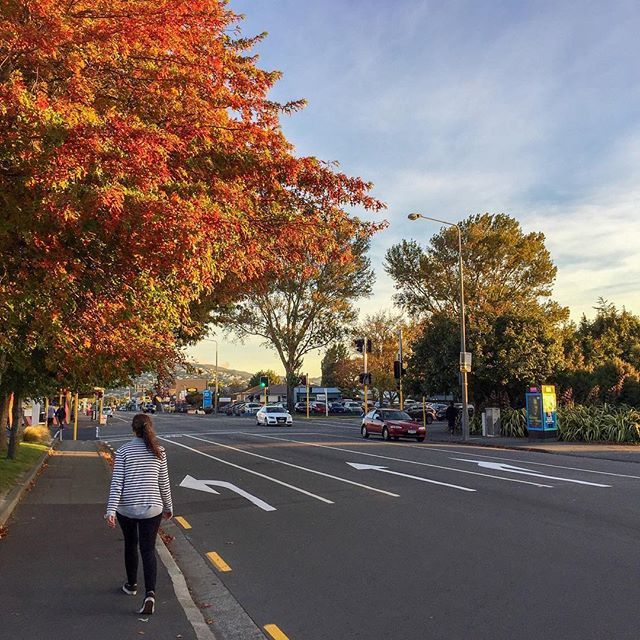 From spring to autumn: New Zealand welcomed us with the loveliest weather. A lot of sun and the trees were shining in the brightest colors. Definitely not the Easter views we’re used to. ift.tt/2GuhyhN