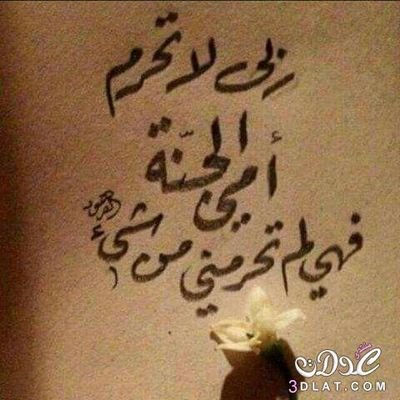 7naya_al8lb's tweet photo. ربي لا تحرم أمي الجنه..فهي لم تحرمني من شئ.🌼🌻🍁💮🌼🌺 https://t.co/IGF08n1A4z