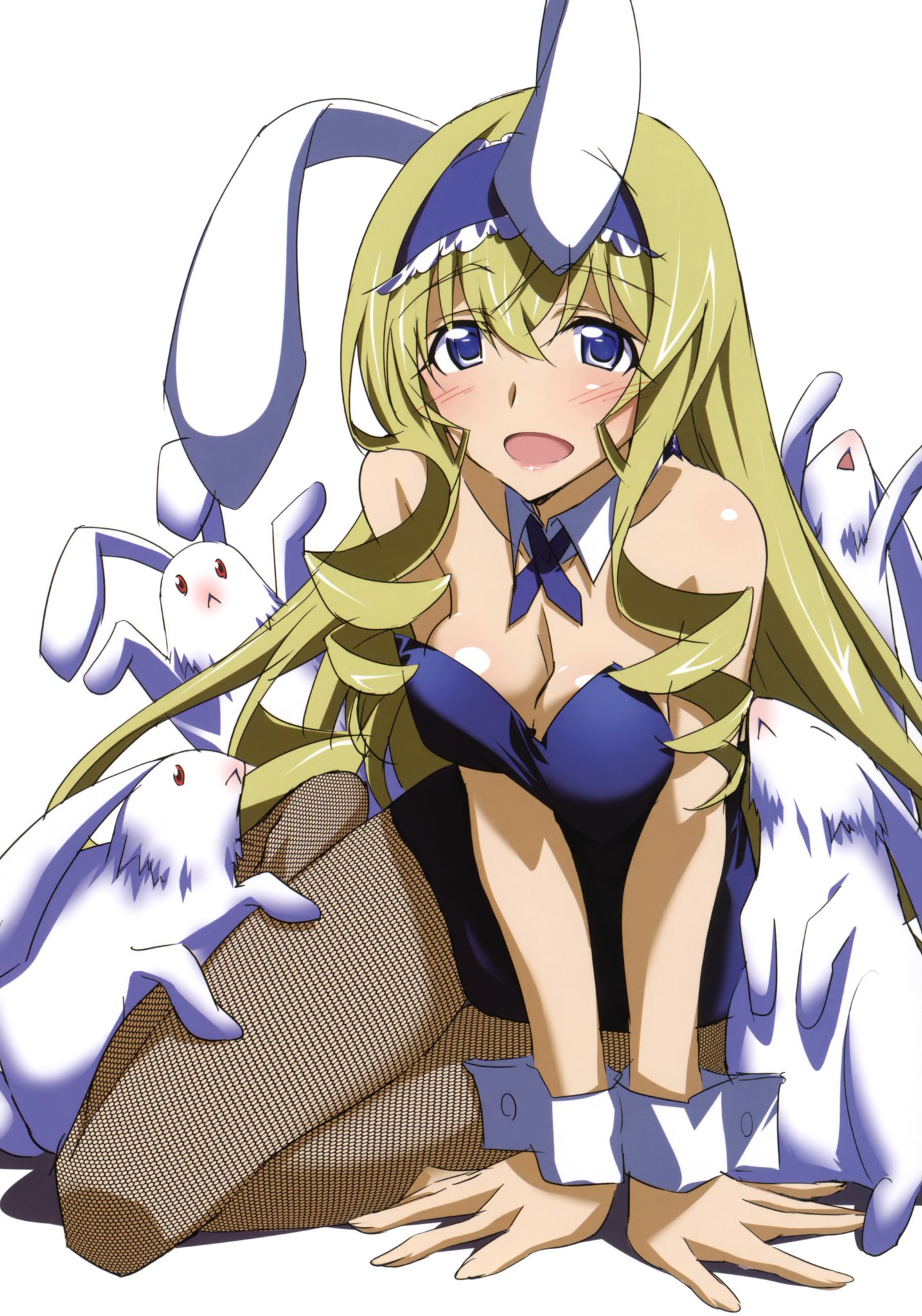 Tonkatsu Kare در توییتر Bunnygirl Again セシリア オルコット Isab アキブレ インフィニット ストラトス Is Anime かわいい