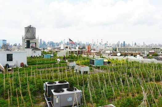 NicolasViard's tweet photo. 🔮2040 :  le 10 avril au quai Voltaire 🇫🇷 !
@BrooklynGrange, 🇺🇲 #NYC #UrbanFarming
@Urban_Leaf  #aquaponie
@Verticyle1 #zerofoodwaste #circulareconomy 
@entomojo #Petfood #insect 
ShareJardin &amp; @InVivoGroup #urbangardening  
@camila1_ac  #InnovBlue
🎯 https://t.co/woWaWwJBeg https://t.co/FJzHmpPl6U