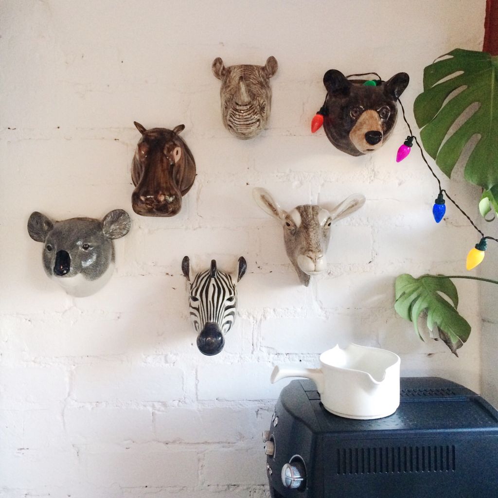 I have these ceramic animals up on my kitchen wall. They are made by Quail ceramics. I am planning to fill them with herbs at some point.

#wildanimals #fauxtaxidermy #quailceramics #animallovers #wildlife #wildanimals
