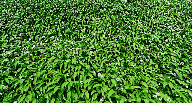 KlaudiaAmsel's tweet image. ✝️Guten  Morgen.vielen Dank für Ihre Aufmerksamkeit, Gott segne Sie!
Jesus liebt dich
▶️youtube.com/watch?v=u5SxPH…
#dieWahrheit #Evangelium #rette🌻