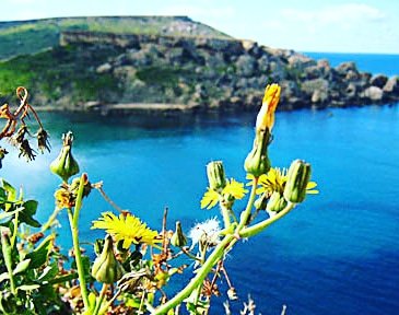 BariatricDuo's tweet photo. #Spring in #Malta ... Definitely my favourite time of the year :)

#travel #traveling #seetheworld #visiting #instatravel #instago #instagood #trip #photooftheday #fun #travelling #tourism #tourist #instapassport #instatraveling #mytravelgram #travelgram #travelingram #igtravel https://t.co/W4mY7Z6JVs