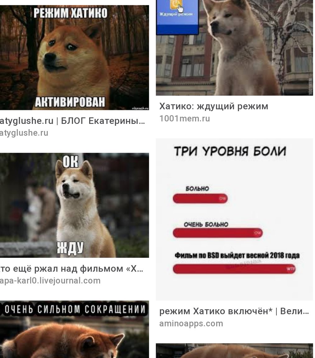 Хатико Мем