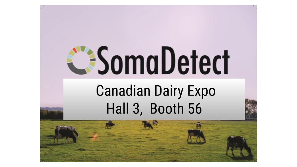 getGrainFlow's tweet photo. We will be at the Canadian Dairy Expo this week! Come say hi, and learn about how we can help you and your herd with reproduction, ketosis, and mastitis! #dairy #dairyfarmers #agtech #somapilot @NB_Milk2020  @SomaDetect @OntHolstein @OntarioMilk  @forty3north https://t.co/ZAC1d4nBZh