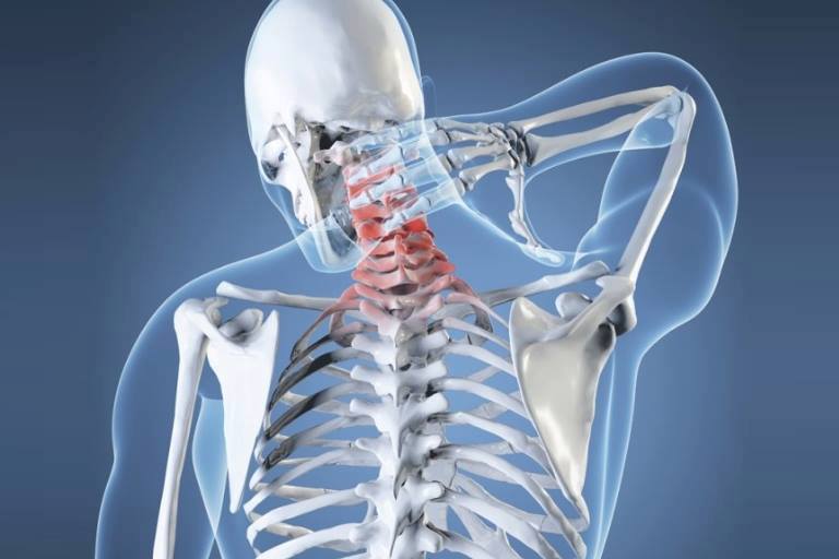 MensOKMagazine's tweet photo. 6 Exercises For Tight Scalene Muscles Strengthening And Flexibility
https://t.co/aPc3PqKkOO
#exercises #tightscalenemuscles #strengtheningscalenemuscles #scaleneflexibility https://t.co/gdDWuq0ikd
