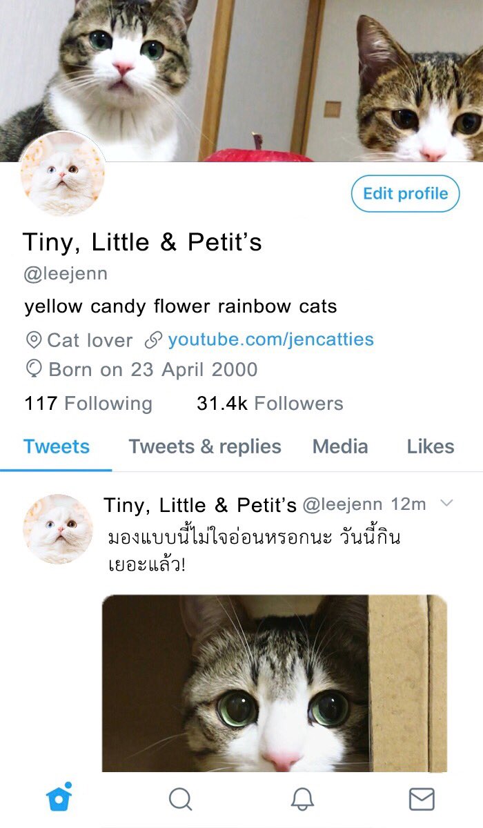 BEMYCHUBBY☁° tweet media