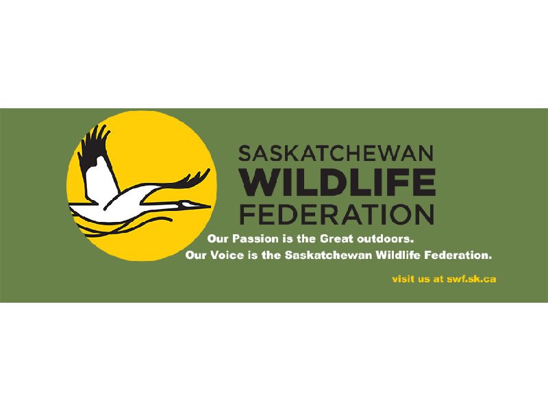 Rescuing Native Prairie and Parkland dlvr.it/QNGncC https://t.co/g10xaWiMql