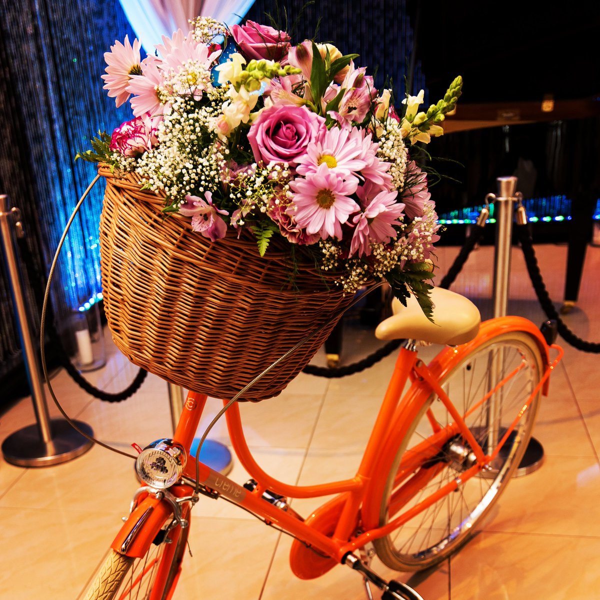 EvenemenCIEL_CA's tweet photo. Des fleurs, un vélo, la vie, ça sent le printemps! 🌺💐🌿😊

#EvenemenCiel #EventPlanner #BalSAL #Unairdeprintemps #Velo #Bike #EventInspiration #Balbenefice #MontrealPlanner #LavalEventPlanner #flowers #velovintage

Crédit photo : Ermenegildo Conte, Cinequinox https://t.co/C5bwRIobYl