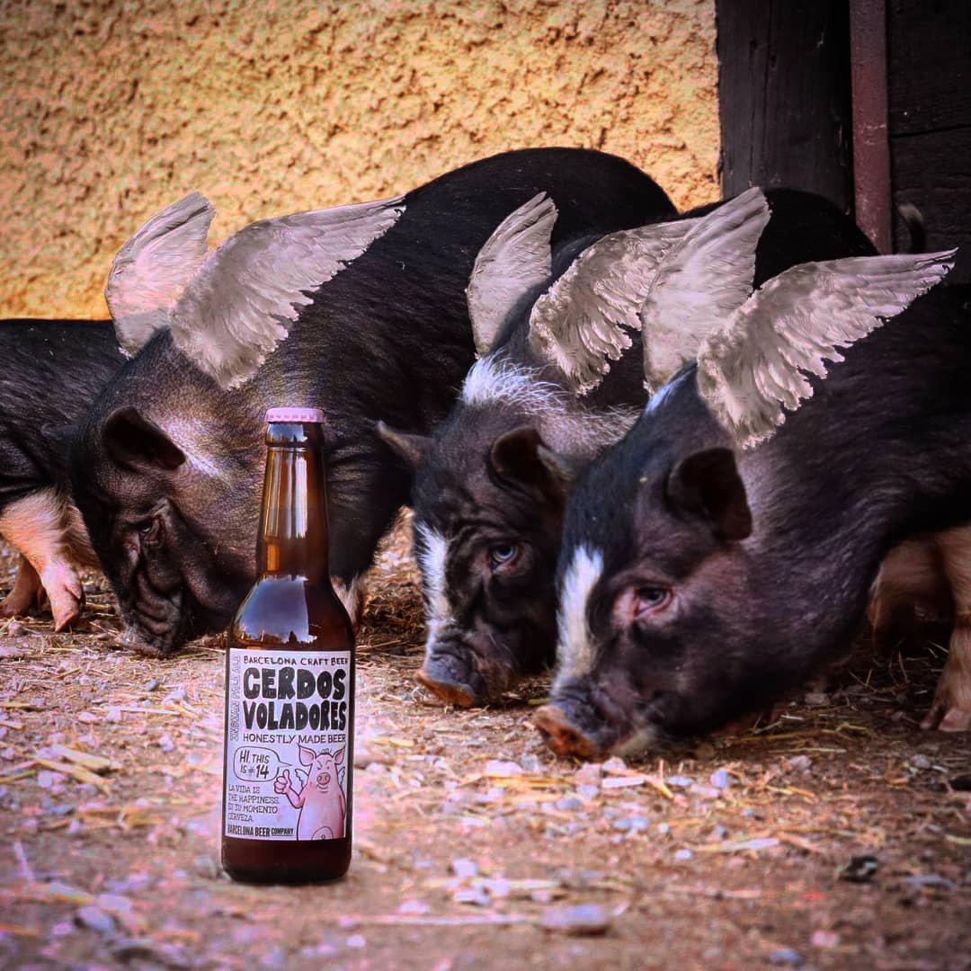 ClubCerveceros's tweet photo. ¡Nos encantan los #cerdosvoladores de @barcelonabeer ! Y no podemos hacer nada en contra de ello. #craftbeerhour #craftbeer #cervezaartesanal https://t.co/6AfRUEIGLw