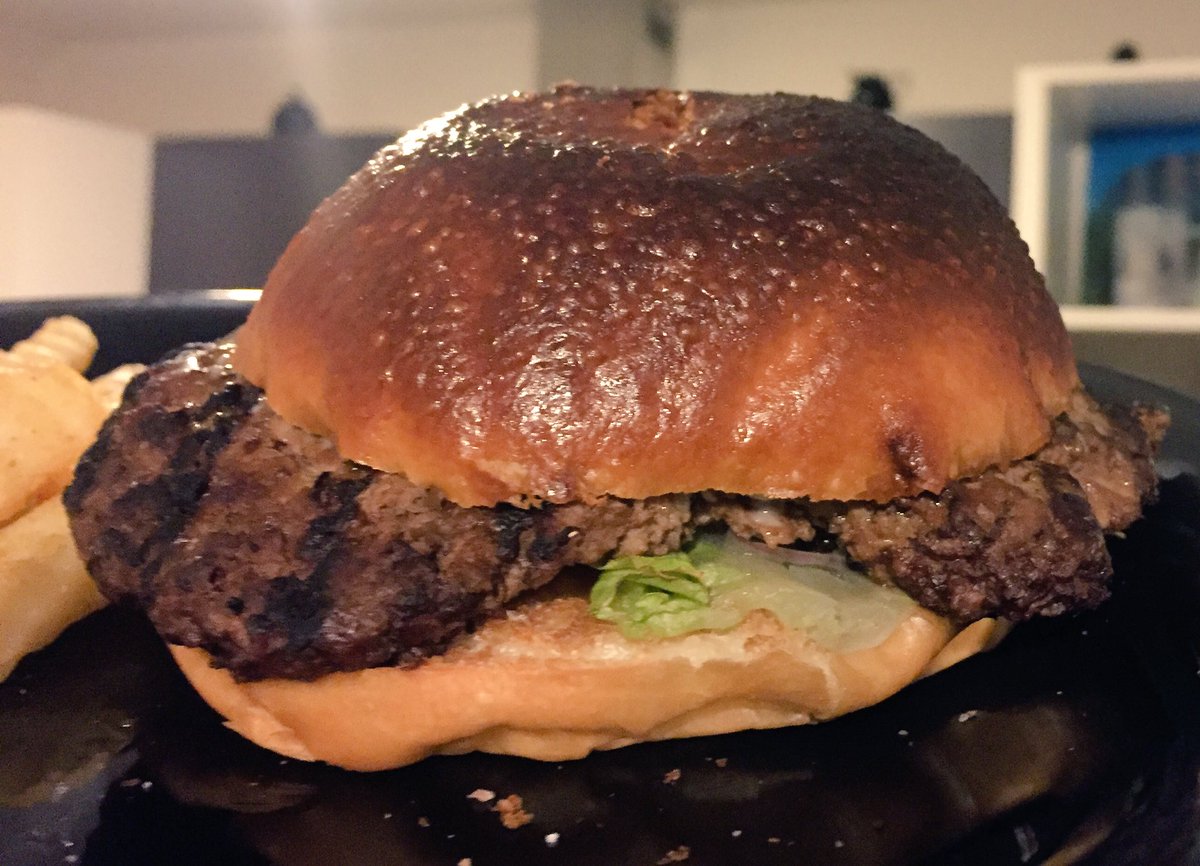 SamtimeNews's tweet photo. I ovened a burger! The top bun was a little crispy, otherwise delicious. #MythConfirmed https://t.co/4oi10lZ2mI