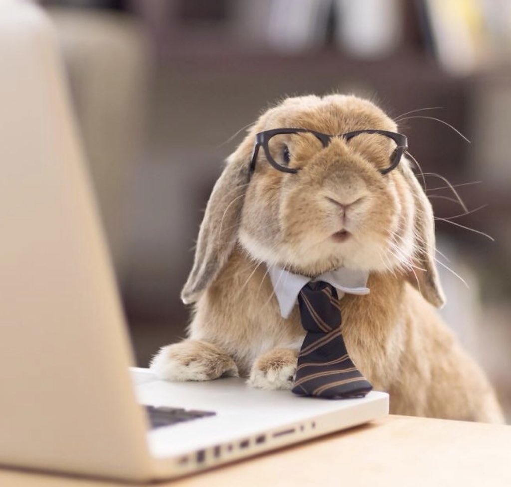 ForburyWorks's tweet image. We hope everyone had a lovely bank holiday weekend!! 🐰 #backtoworknow #nobankholidayblueshere #4dayweek #tuesdaymotivation