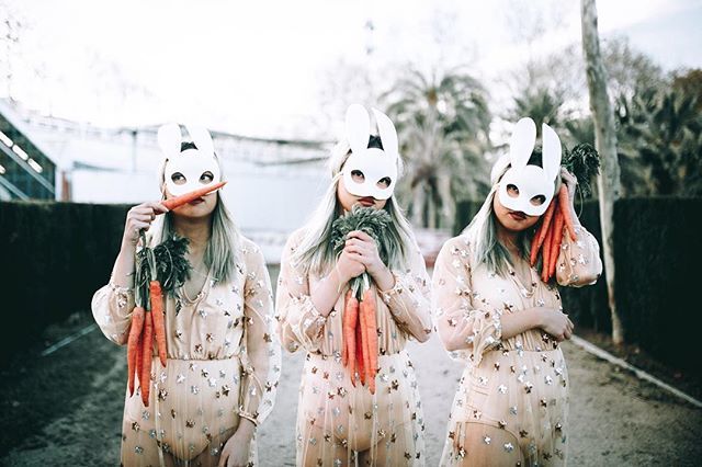 movingthecocos's tweet photo. Speak kindly to the plants.
.
.
.
.
#lookslikefilm #carrots #bunny #easterbunny #photooftheday https://t.co/dRqpWKKlfy