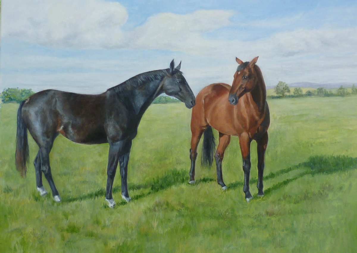 jamiswallow's tweet photo. Fields like the Lake District, but first horse arrived for his summer hols second  due in a week or two  - here's  their portrait I did last year https://t.co/HZ93KeRRTM