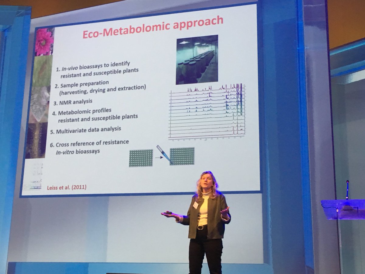 HelmaVerberkt's tweet photo. #KirstenLeiss @WURplant over de rol van metabolonics op plantweerbaarheid Thema Duurzame Plantaardige Productie @TopsectorTU https://t.co/4gWmtlhJtQ
