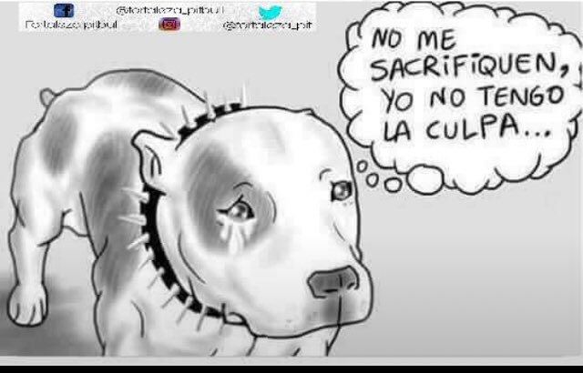 Vicen_Pope's tweet photo. Te reviento @davidbroncano! https://t.co/955ZM2juBu
