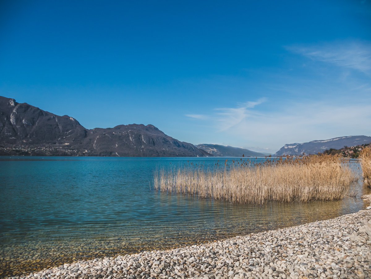 tas2cailloux's tweet photo. Lac du Bourget sous le soleil :)

@Tourisme_isere @SavoieMontBlanc #paysage https://t.co/sNmfTU9ITg