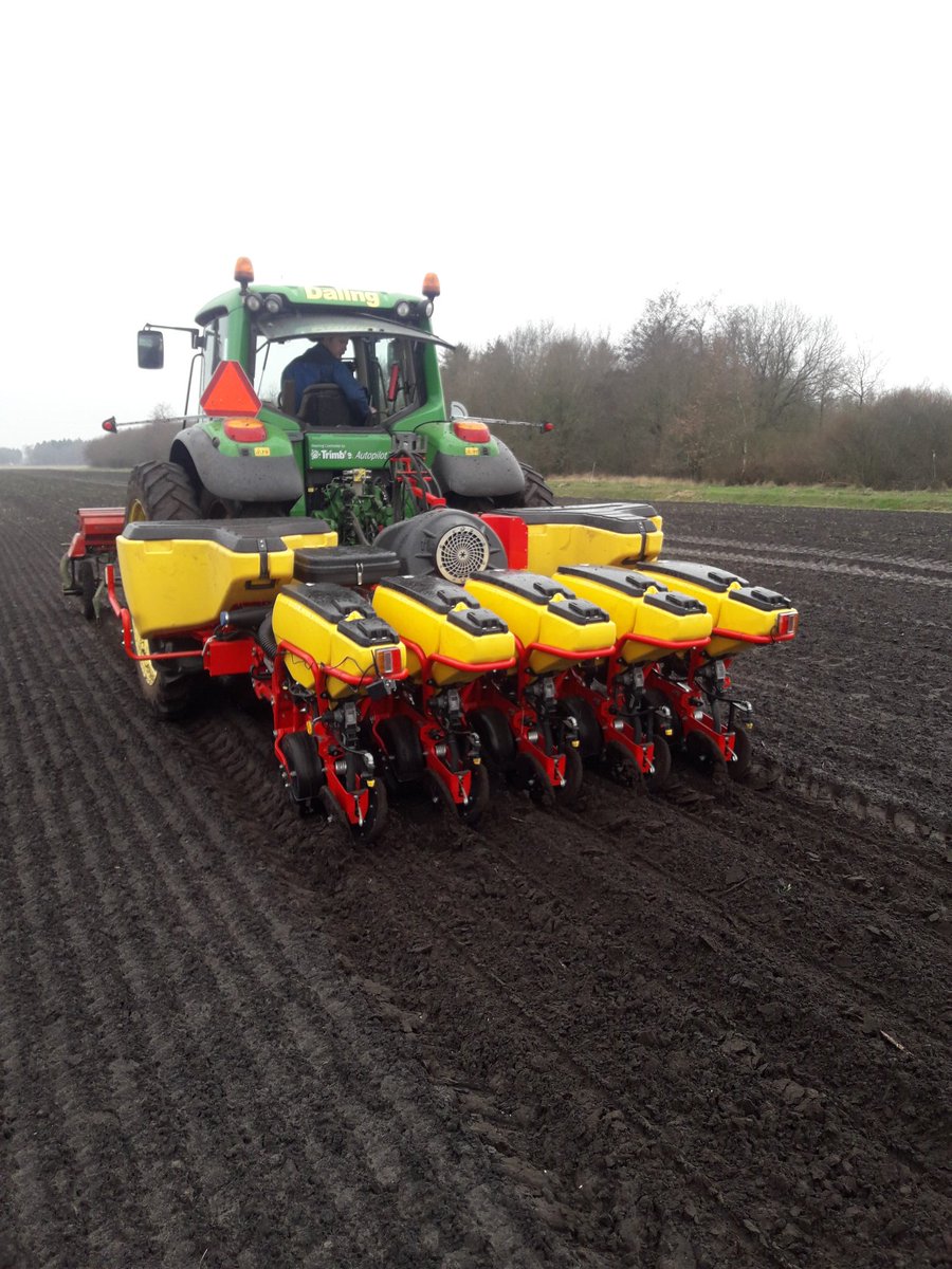 eduard_daling's tweet photo. Ondanks het slechte weer kunnen we nog #Zonnebloemen zaaien https://t.co/NyqsGO14XQ