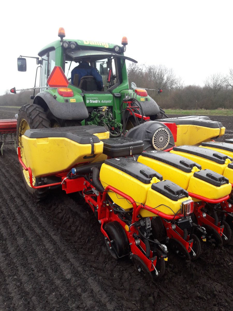 eduard_daling's tweet photo. Ondanks het slechte weer kunnen we nog #Zonnebloemen zaaien https://t.co/NyqsGO14XQ