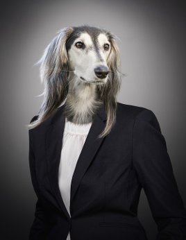 AnimalSquadHQ's tweet photo. A dog has a job of eating insects because they are ruining a Boston art gallery's paintings! @mfaboston #DogJob #InsectEater #Paintings https://t.co/mI9lZbfVQ9 https://t.co/P7Kp7UQAzt