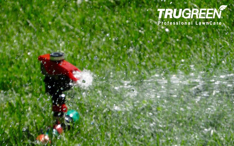TruGreen The Spires tweet media