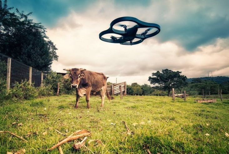 ctricot's tweet photo. #IntelligenceArtificielle et #agriculture : la part de l’ IA dans l’ agriculture mondiale était estimée à environ 518,7 millions de dollars en 2017. Un montant qui s’élèverait à 2,6 milliards d’ici 2025 https://t.co/ihE77we9rX https://t.co/28cawnUODh