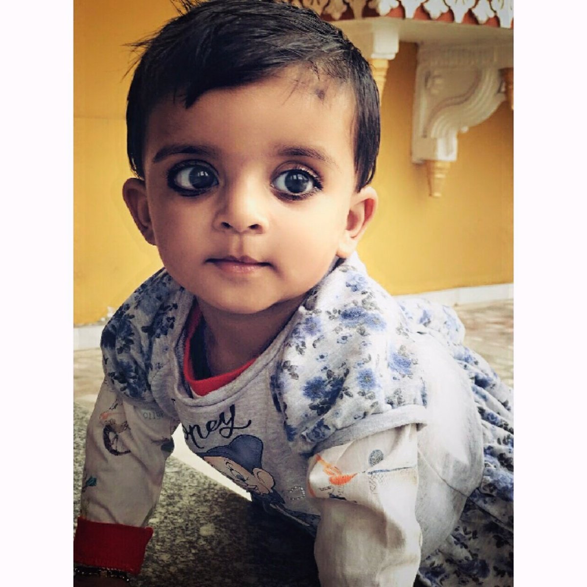 TheHappybhatia's tweet photo. 🚩 Princess of Danta State 🚩 #apsingh
★राजकुमारी भुवनेश्वरी(अंबिका) कंवर परमवीरसिंहजी परमार★
#the_hb #thehb_click #photography #Princesse #danta_state #raghuvirvilla_palace #royal_rajputana #hukam #Angel #Rajput #photoshoot https://t.co/rArjNKhdFj