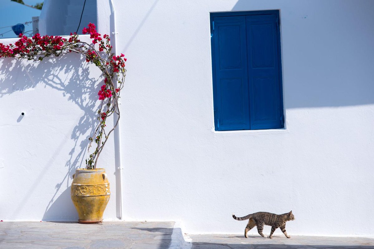 FigaroPartner tweet media