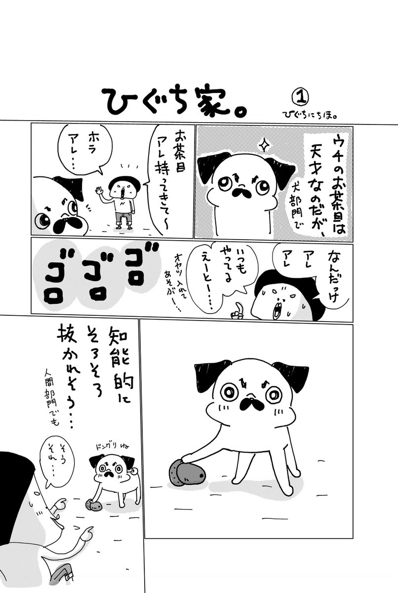 ひぐち にちほ در توییتر ツイッター Instagram限定 ひぐち家 漫画はじまります ゆるゆる更新していきますが よろしくお願いいたします デジタル作画の練習も兼ねてまして 一発目の今回は枠線が全然直線じゃなかったことが判明 斜めでモヤモヤしますが改善して