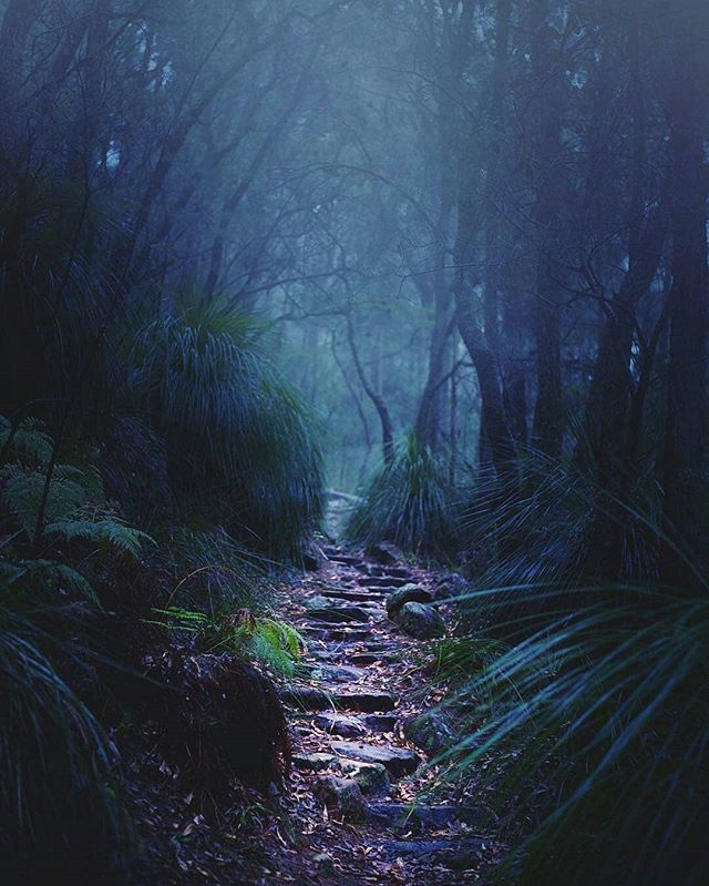 Loving the misty Autumn mornings here in the Blue Mountains 💙🍂 📷: @approachingtheunknown
#bluemountains #springwood #fairmontresortleura #destinationNSW #VisitNSW #seeaustralia #nswparks