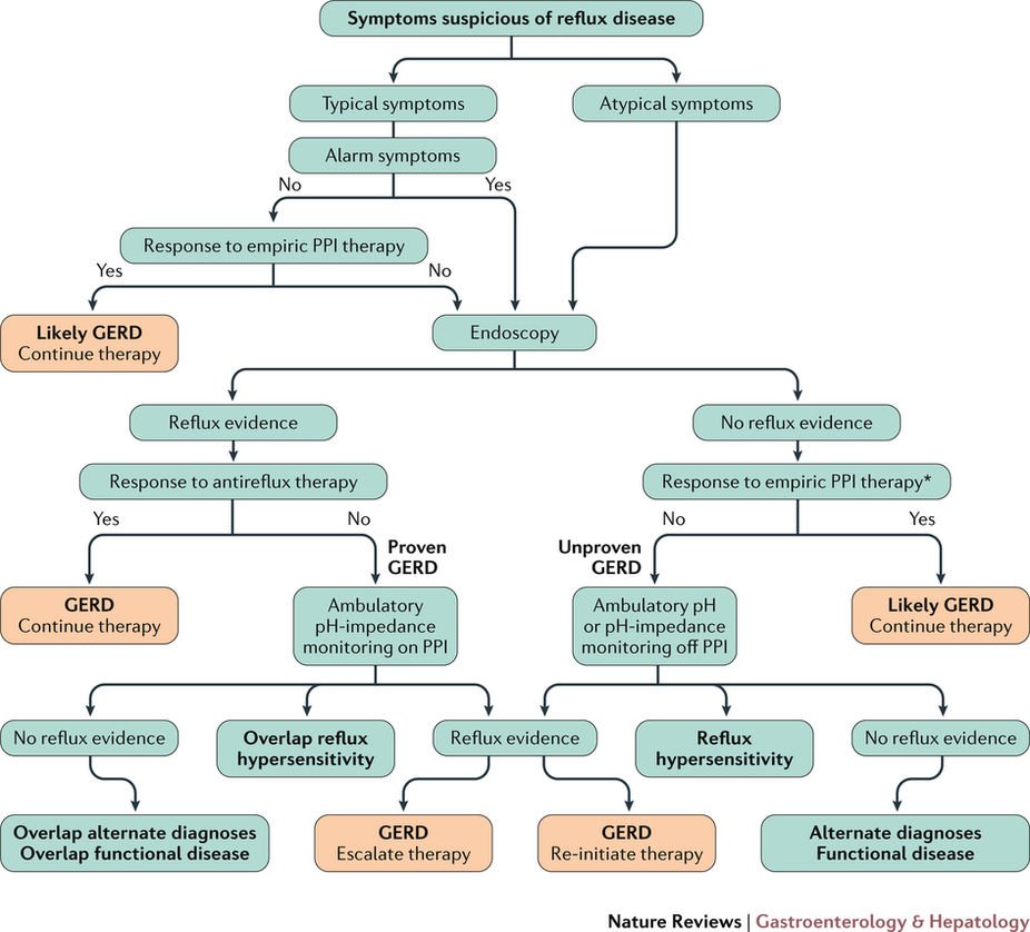 object oriented software