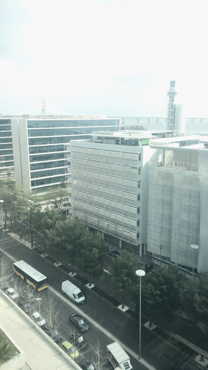 RoyalsoulTwitch's tweet photo. Hey guys I will see you later tonight in my stream! I leave you with my view 👏🏻👏🏻 https://t.co/t0lALdp8up