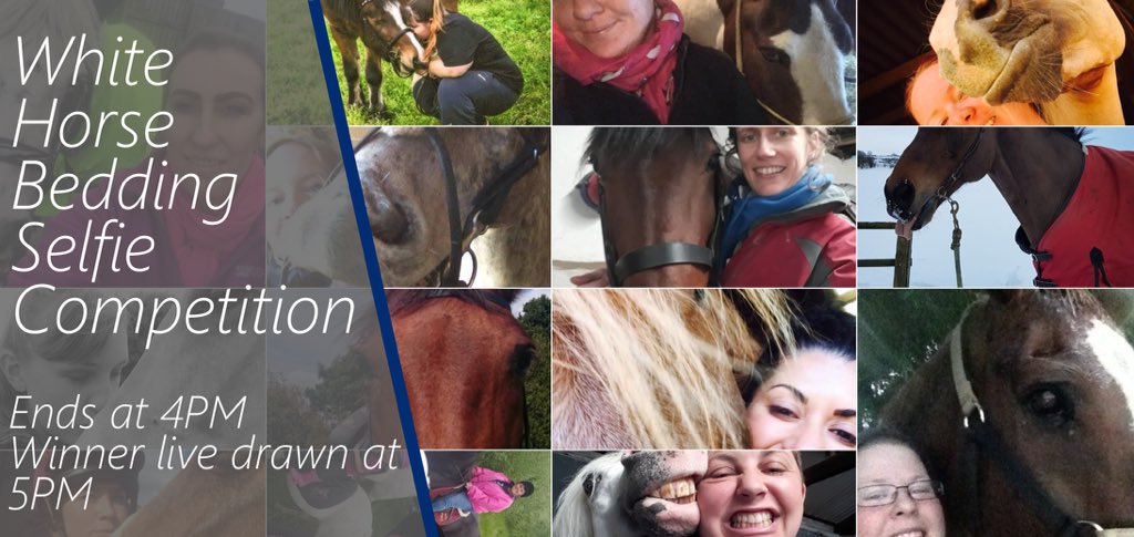 WHorseBedding's tweet photo. Our selfie competition ends at 4PM today. Head over to our Facebook Page for more info. 📸😄🐴 https://t.co/0CGpORr2gq  #whitehorsebedding #horsebedding #selfie https://t.co/xBoozBW1Ud