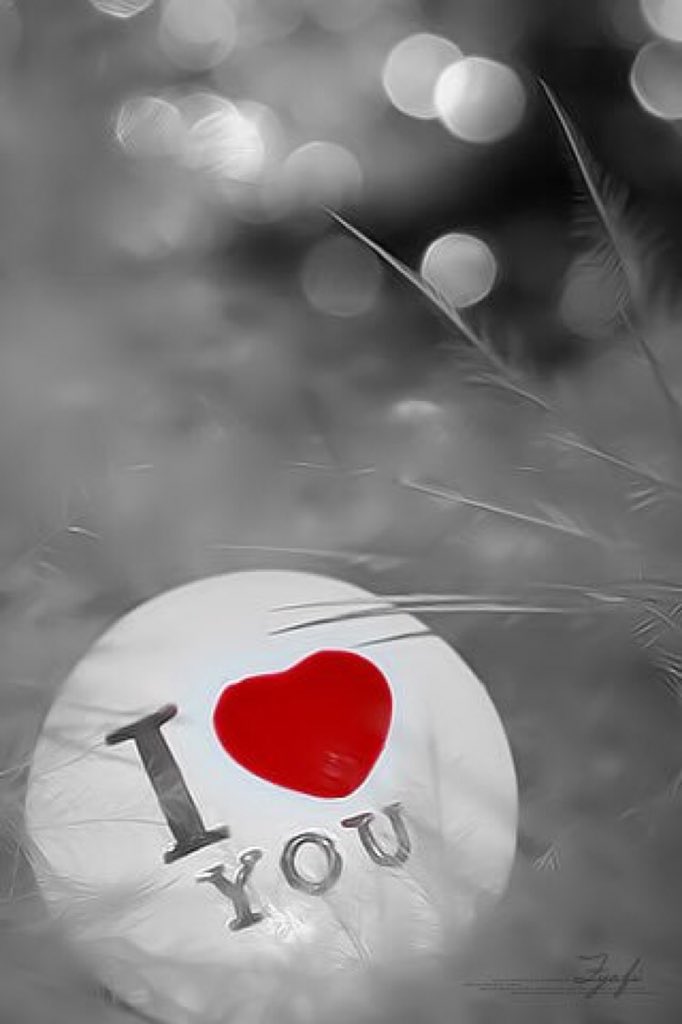 as_as_100's tweet photo. أخبروها …
أن #قلبي لا ينبض إلا لها … https://t.co/FhxYaFDTdf