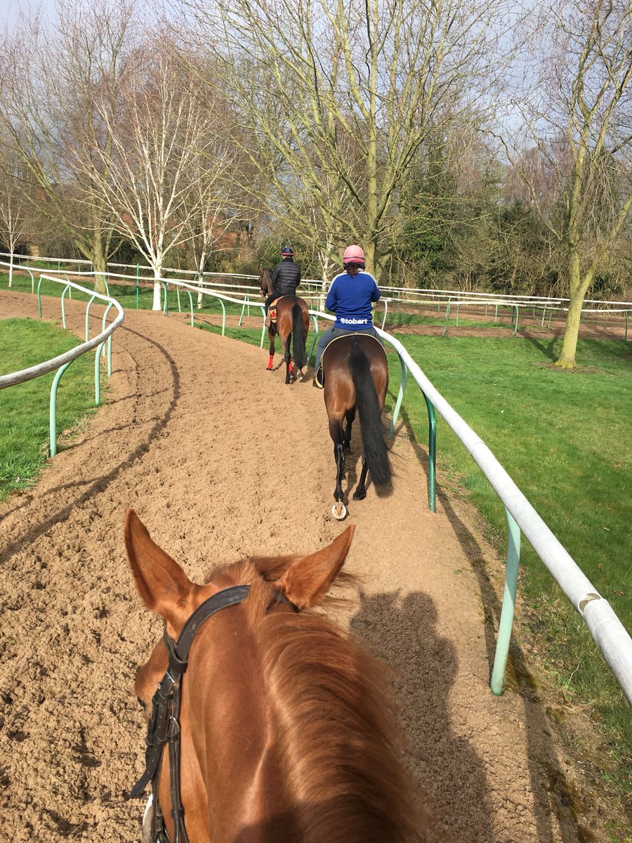 soph_silvester's tweet photo. @LSPRacing #beautifulday #sunisshining #severals #NewMarket #springishere #horses #Racing #racehorse #horseracing #warrenhill #gallops #gofast #AdrenalineRush #lovehorses https://t.co/WceY1GDakT