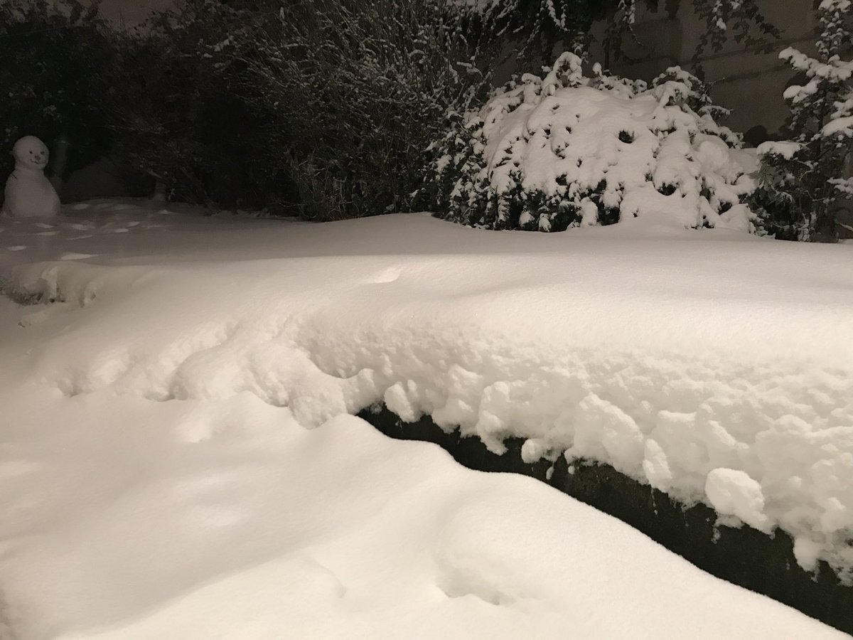 BenAltstein's tweet photo. FINALLY managed to initiate a transfer of my remaining #electroneum from #craptopia. What a joke of an exchange #cryptopia. Snowed in no longer.. bring on #binance https://t.co/j3AqlY9Jx5