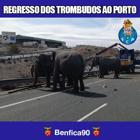 _Benfica90's tweet photo. ❤️⚽️ Regresso dos trombudos ao Porto ⚽️❤️ https://t.co/BWCkwOyIfx