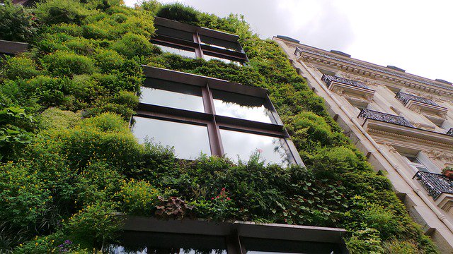VerdeHotels's tweet photo. Green Building: The Future of Eco-Friendly Cities. Read the full article here. We're so inspired by the prospect of others thinking about building green! #greenhotels #greenbuildings #futureway #verdemoment https://t.co/atyZsl9I0N https://t.co/fprbXXFxUQ