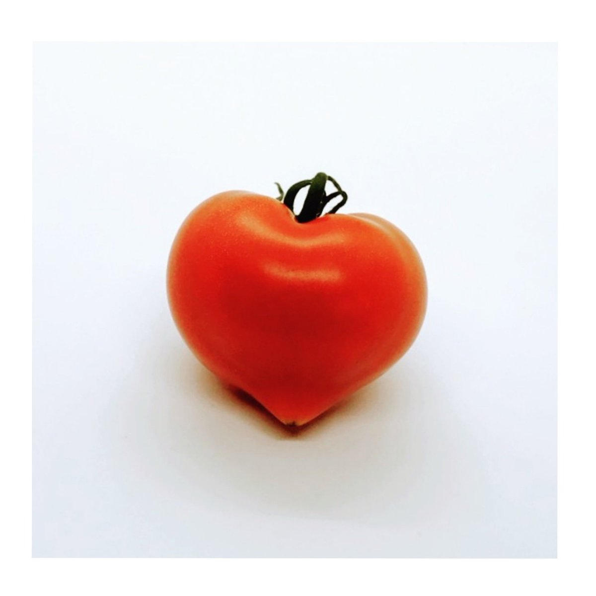 とまと屋たかはし トマト農家 No Twitter 可愛いハートを見つけました 横向きも珍しいです 農業 トマト とまと Tomato 埼玉 朝霞 朝霞市 ハート