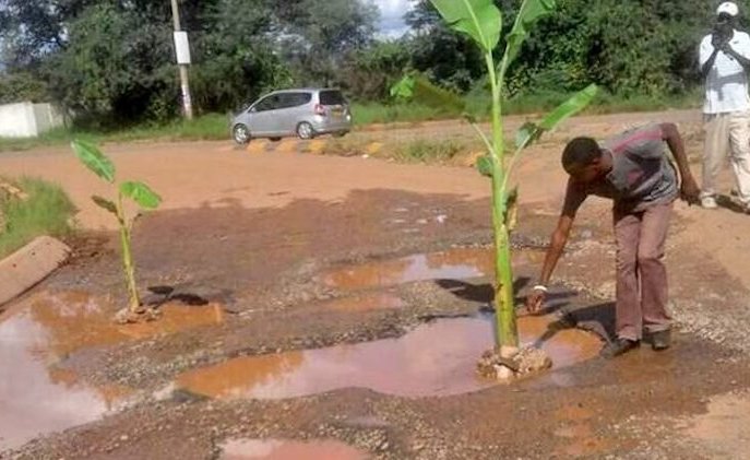 hallaboutafrica's tweet photo. Zimbabwe protest with sense of humour. People are planting banana trees in potholes that towns won't fix. If roads can't be used for transport why not fruit cultivation? https://t.co/urXJYevYWd