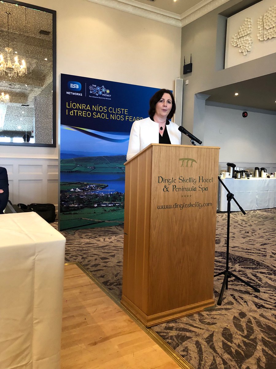 linssharpe's tweet photo. Marguerite Sayers, MD of @ESBNetworks and Darragh O’Se speaking at the launch of the Dingle Project https://t.co/av6khetV7K